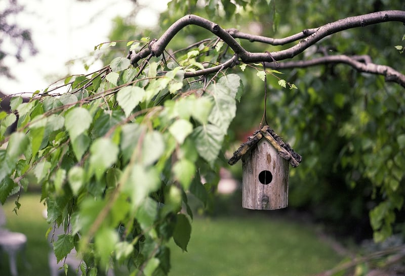 Toilet Paper Roll Bird Feeder